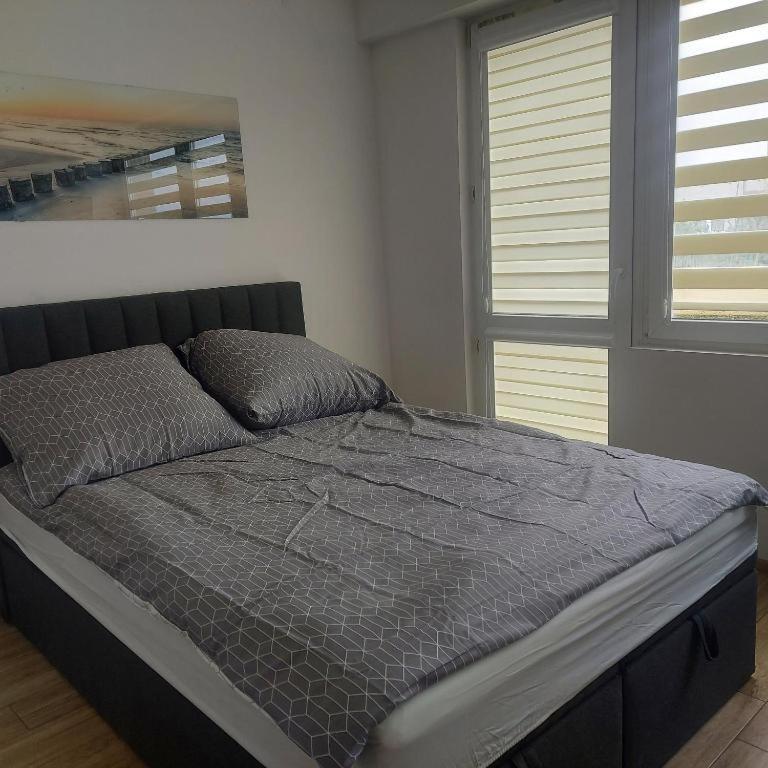 Apartament Mira Rzeszów Exteriör bild
